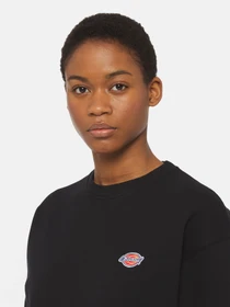 Худі та світшоти Dickies Millersburg модель DK0A4YQDBLK1 Фото