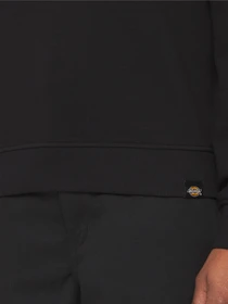 Худі та світшоти Dickies Millersburg модель DK0A4YQDBLK1 Фото