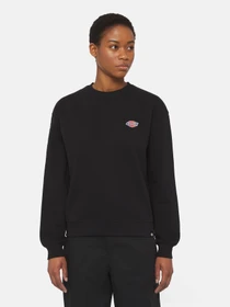 Худі та світшоти Dickies Millersburg модель DK0A4YQDBLK1 Фото