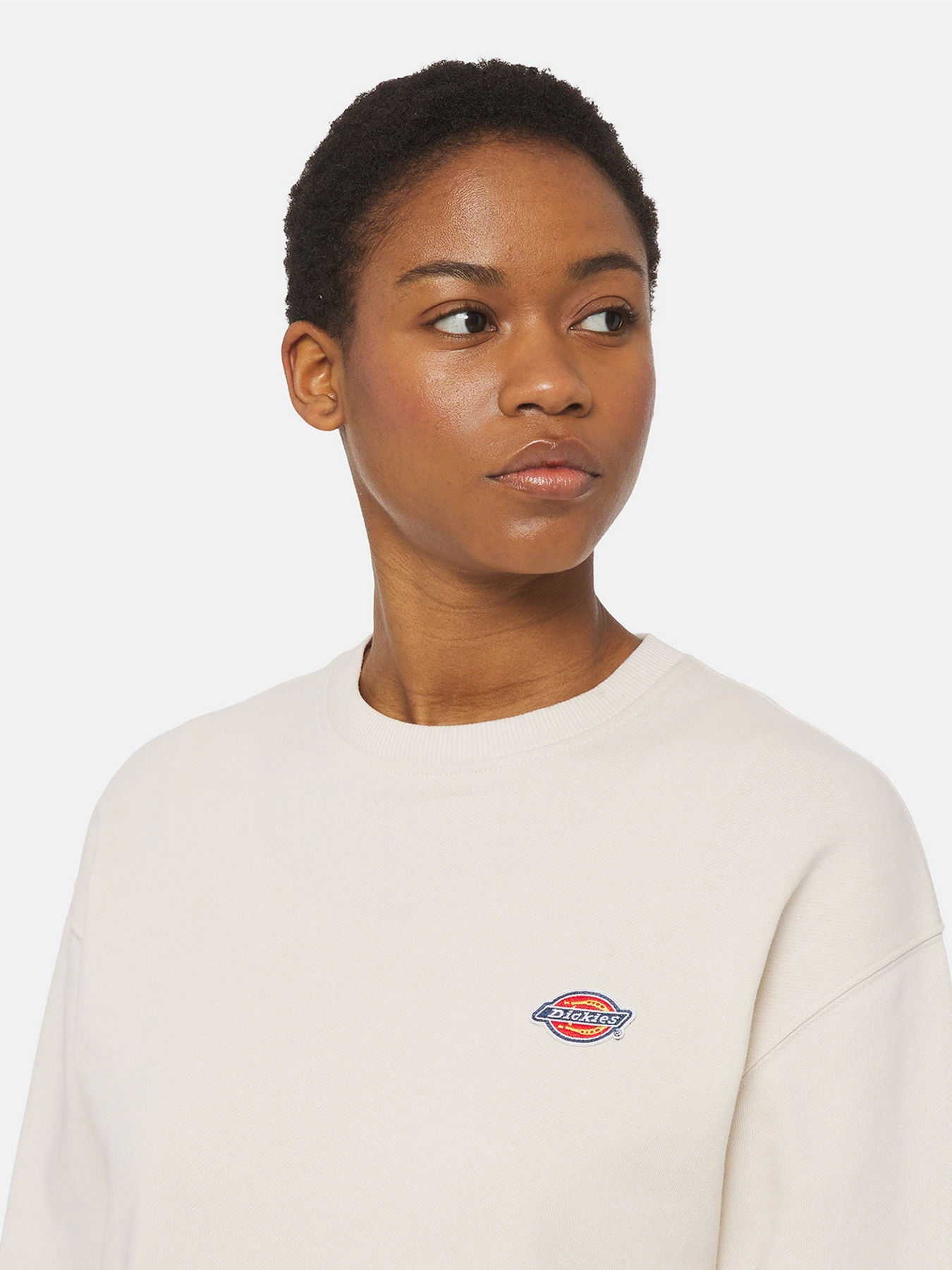 Худи и свитшоты Dickies Millersburg модель DK0A4YQDF901 Фото