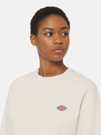 Худи и свитшоты Dickies Millersburg модель DK0A4YQDF901 Фото