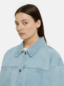 Куртки и дубленки Dickies Herndon модель DK0A4YQTC151 Фото