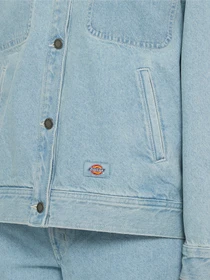 Куртки и дубленки Dickies Herndon модель DK0A4YQTC151 Фото