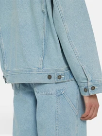 Куртки и дубленки Dickies Herndon модель DK0A4YQTC151 Фото