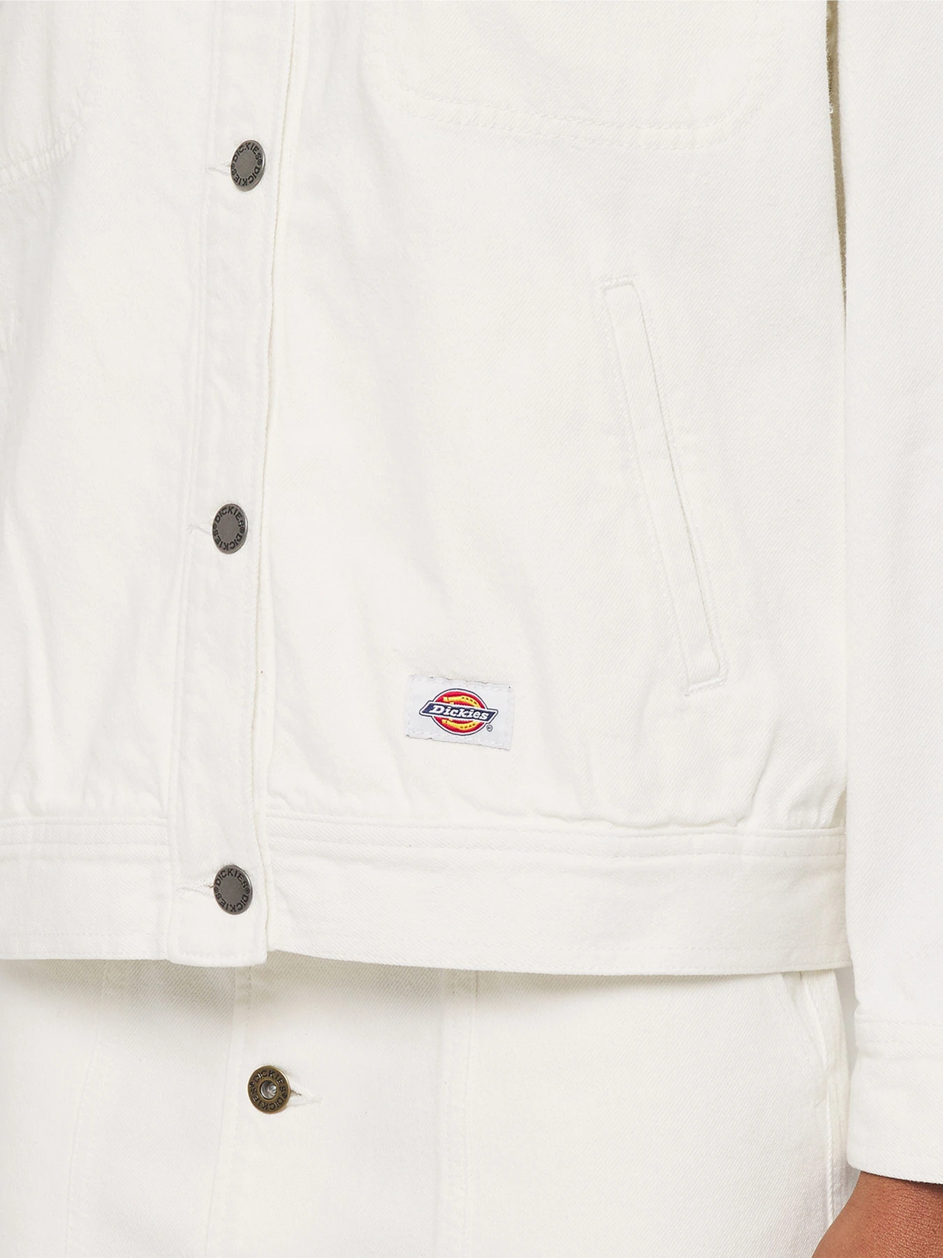Куртки и дубленки Dickies Herndon модель DK0A4YQTWHX1 Фото