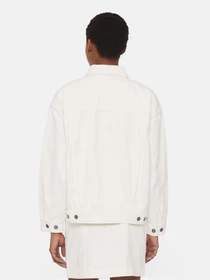 Куртки и дубленки Dickies Herndon модель DK0A4YQTWHX1 Фото