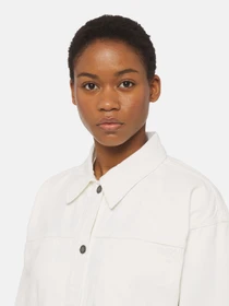 Куртки и дубленки Dickies Herndon модель DK0A4YQTWHX1 Фото
