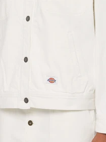 Куртки и дубленки Dickies Herndon модель DK0A4YQTWHX1 Фото
