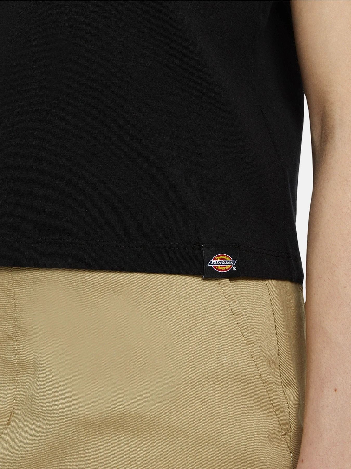 Футболки и поло Dickies Herndon Ss модель DK0A4YRPBLK1 Фото