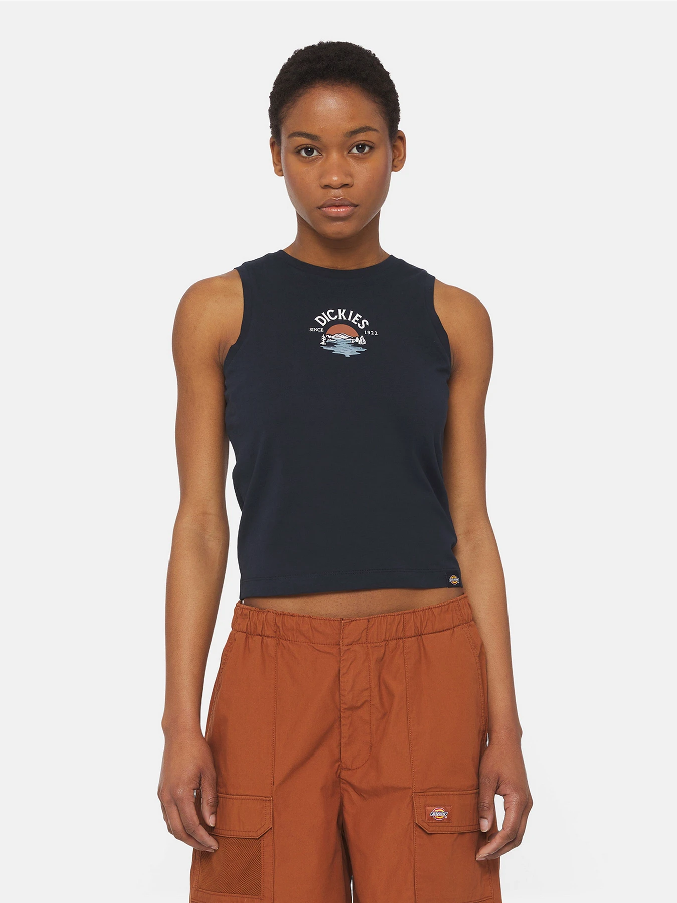 Футболки и поло Dickies Onley модель DK0A4YRTDNX1 Футболки и поло Dickies Onley модель DK0A4YRTDNX1 Фото