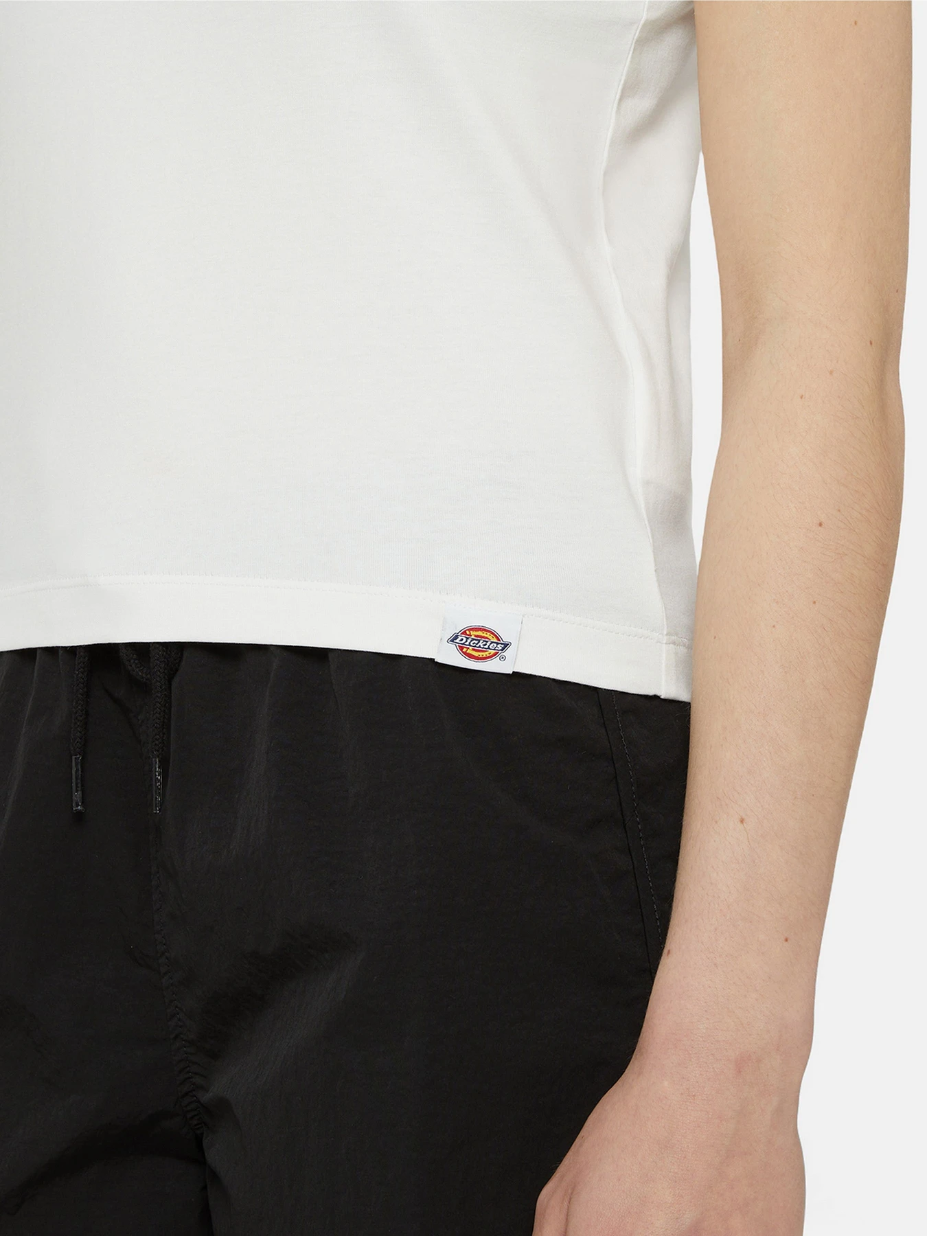 Футболки и поло Dickies Onley модель DK0A4YRTWHX1 Футболки и поло Dickies Onley модель DK0A4YRTWHX1 Фото