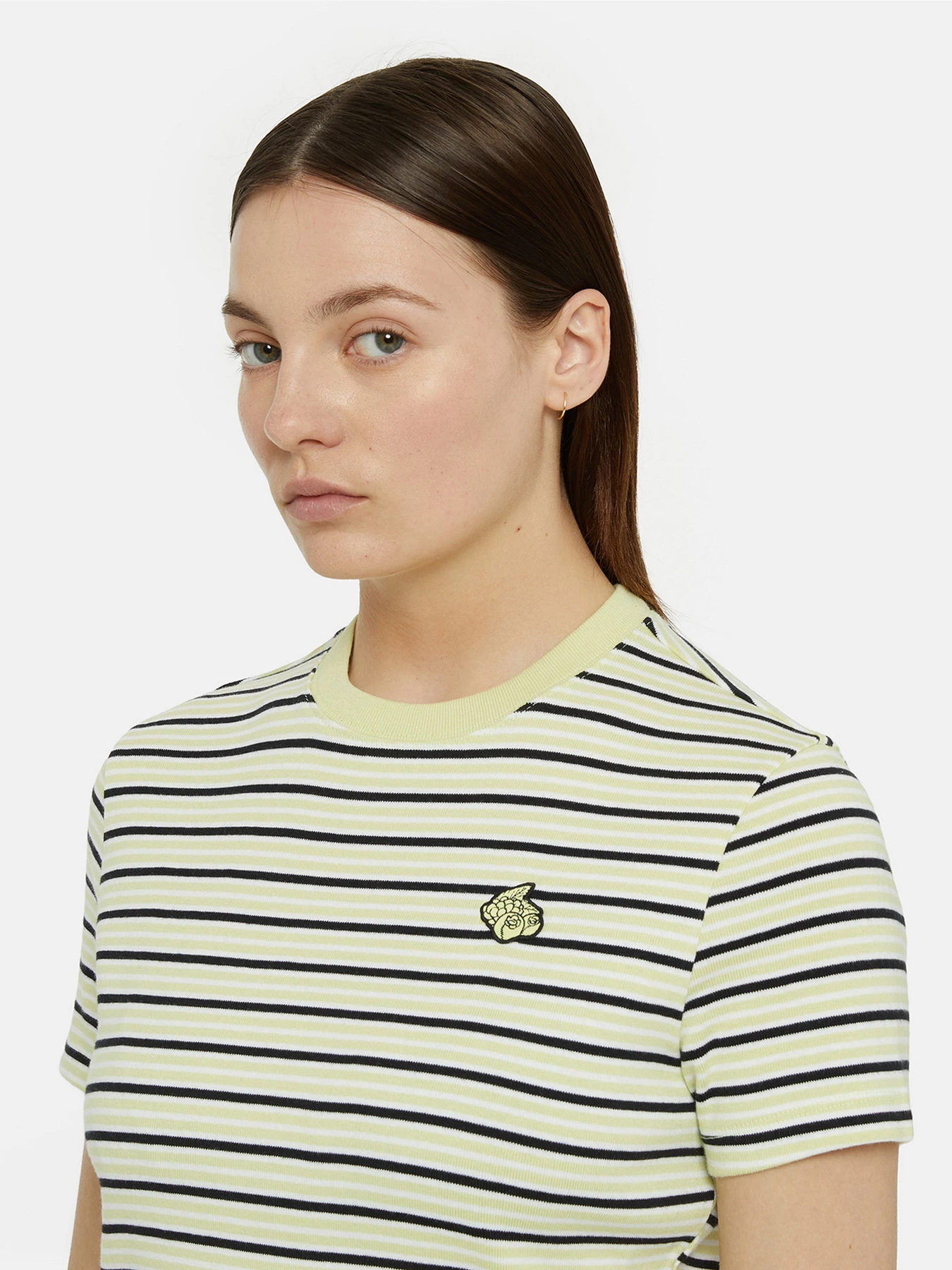 Футболки и поло Dickies Altoona Stripe Ss модель DK0A4YS7H141 Фото