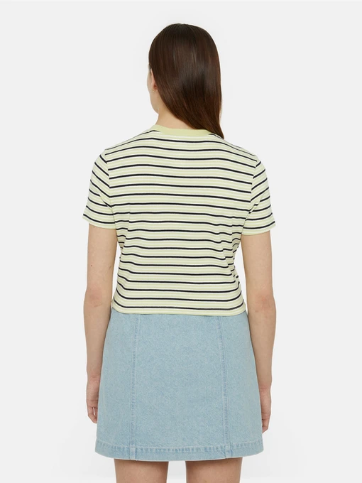 Бавовняна Жіноча Футболка Dickies Altoona Stripe Ss фото 2