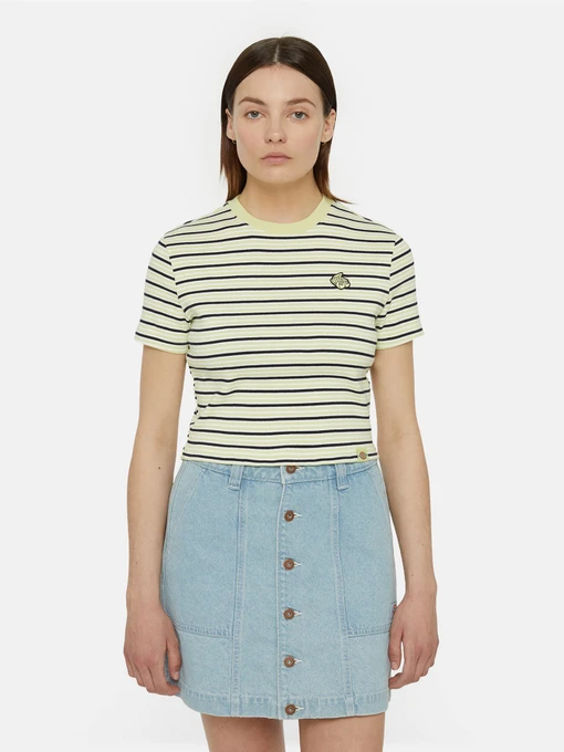 Футболки и поло Dickies Altoona Stripe Ss модель DK0A4YS7H141 Фото
