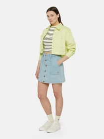 Футболки и поло Dickies Altoona Stripe Ss модель DK0A4YS7H141 Фото