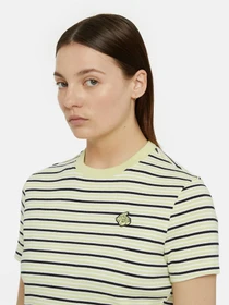 Футболки и поло Dickies Altoona Stripe Ss модель DK0A4YS7H141 Фото
