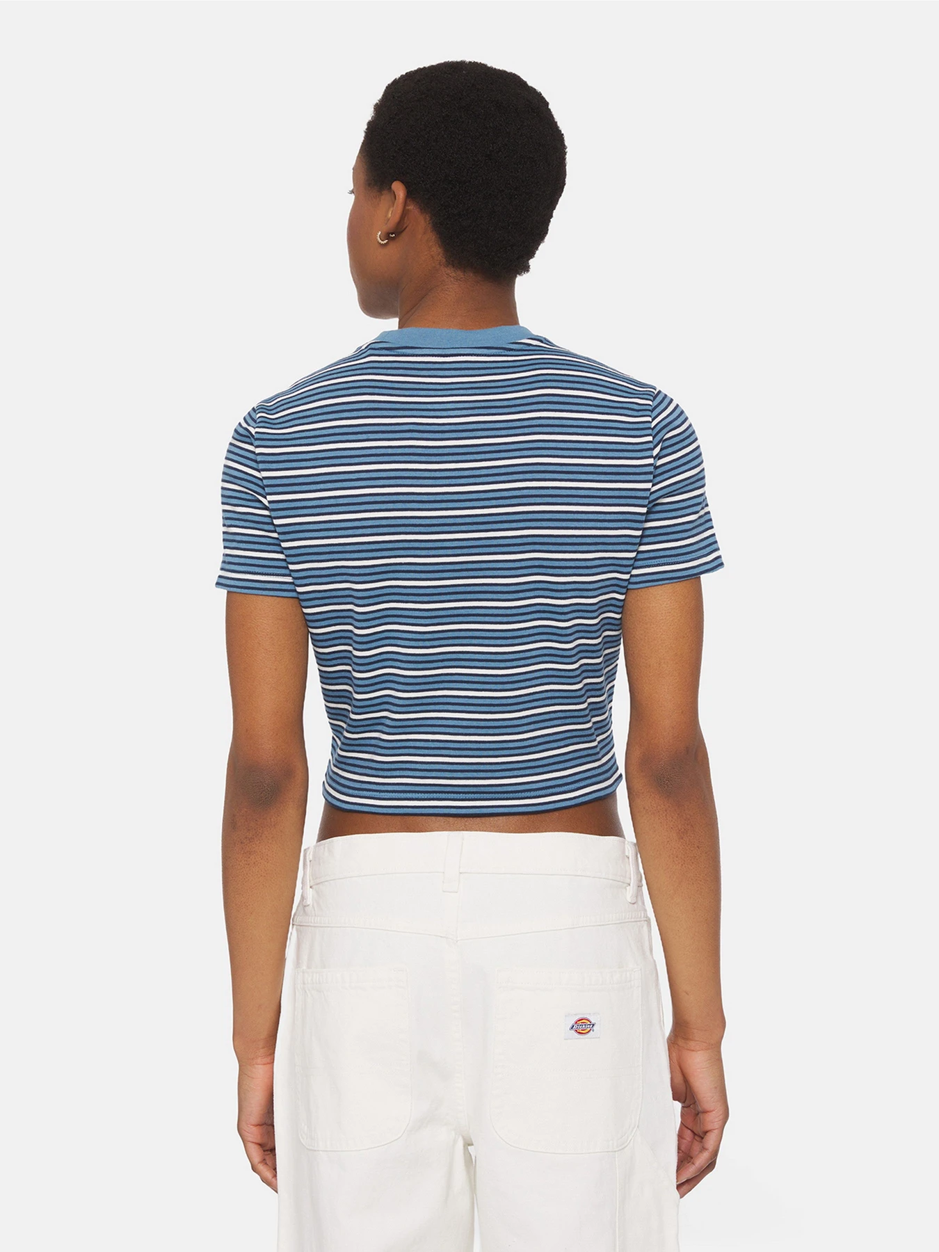 Футболки и поло Dickies Altoona Stripe Ss модель DK0A4YS7H171 Фото