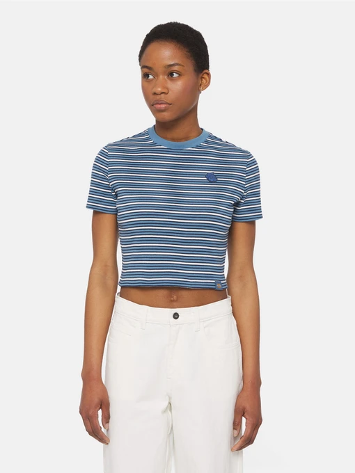 Футболки і поло Dickies Altoona Stripe Ss модель DK0A4YS7H171 Фото