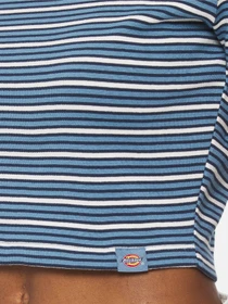 Футболки и поло Dickies Altoona Stripe Ss модель DK0A4YS7H171 Фото