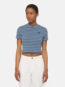 Футболки и поло Dickies Altoona Stripe Ss модель DK0A4YS7H171 Фото