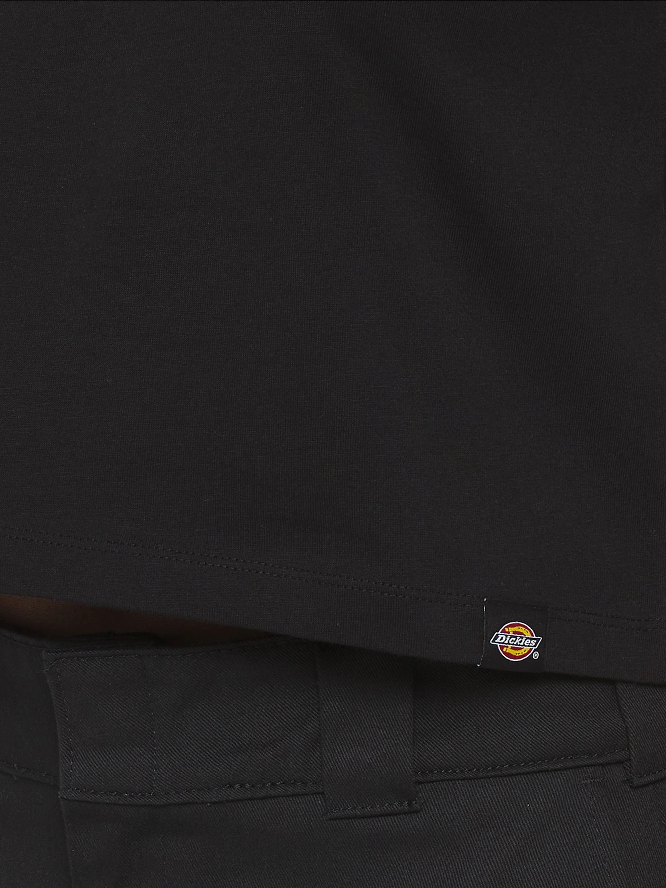 Футболки і поло Dickies Aitkin модель DK0A4YS8BLK1 Футболки і поло Dickies Aitkin модель DK0A4YS8BLK1 Фото