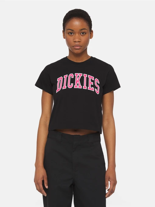 Футболки і поло Dickies Aitkin модель DK0A4YS8BLK1 Фото
