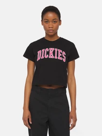 Футболки і поло Dickies Aitkin модель DK0A4YS8BLK1 Фото