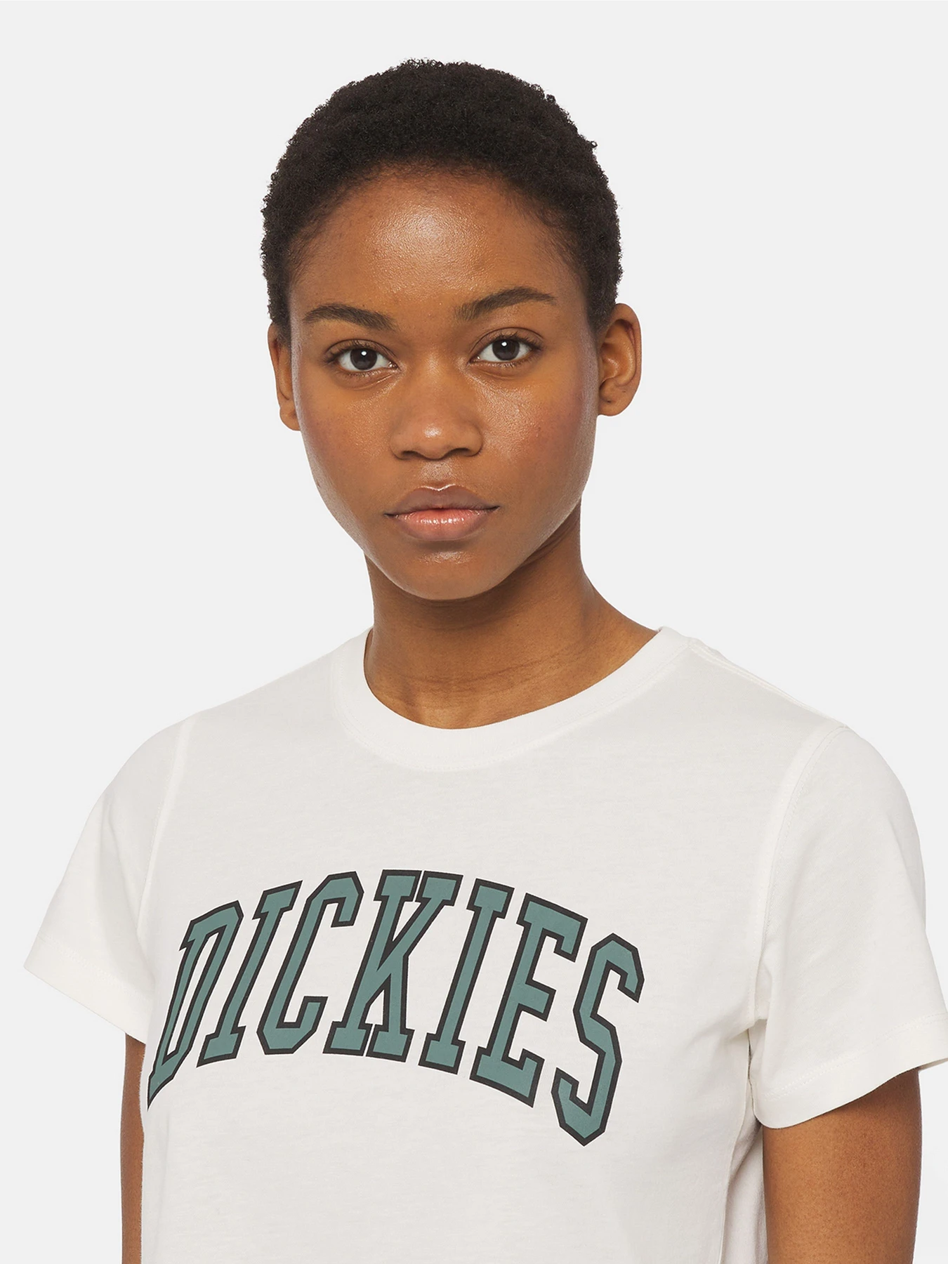 Футболки и поло Dickies Aitkin модель DK0A4YS8C581 Футболки и поло Dickies Aitkin модель DK0A4YS8C581 Фото