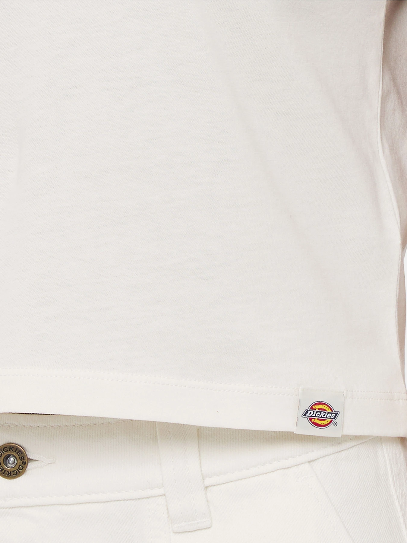 Футболки и поло Dickies Aitkin модель DK0A4YS8C581 Футболки и поло Dickies Aitkin модель DK0A4YS8C581 Фото