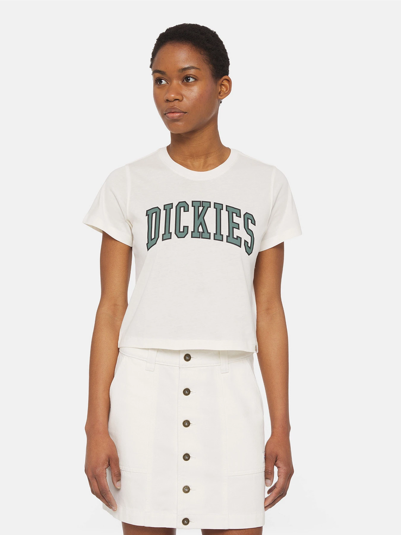 Футболки и поло Dickies Aitkin модель DK0A4YS8C581 Футболки и поло Dickies Aitkin модель DK0A4YS8C581 Фото