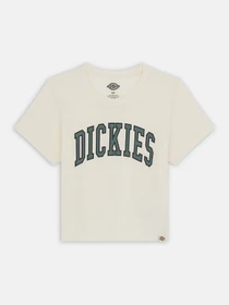 Футболки и поло Dickies Aitkin модель DK0A4YS8C581 Фото