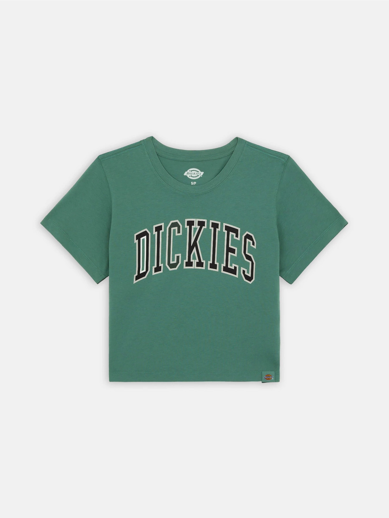 Футболки и поло Dickies Aitkin модель DK0A4YS8H151 Футболки и поло Dickies Aitkin модель DK0A4YS8H151 Фото