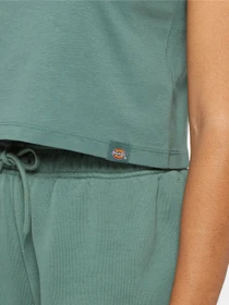 Футболки и поло Dickies Aitkin модель DK0A4YS8H151 Фото
