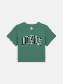 Футболки и поло Dickies Aitkin модель DK0A4YS8H151 Фото