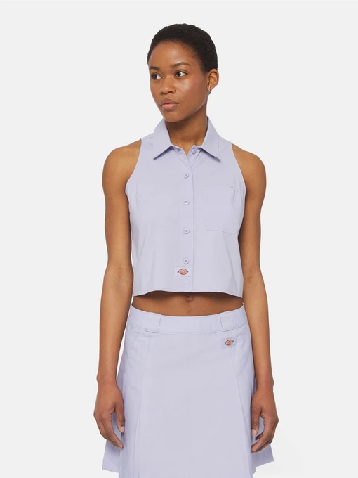 Рубашки Dickies Ss Saltville модель DK0A4YSVH181 Фото