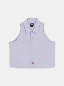 Рубашки Dickies Ss Saltville модель DK0A4YSVH181 Фото