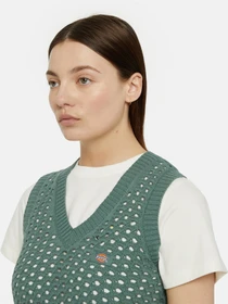 Свитры и кардиганы Dickies Seasonal Mapleton модель DK0A4YT3C581 Фото