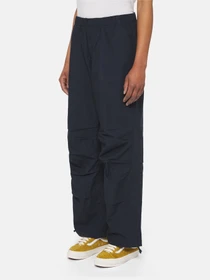 Штани Dickies Fishersville модель DK0A4YV4DNX1 Фото