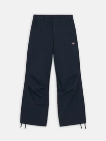 Штани Dickies Fishersville модель DK0A4YV4DNX1 Фото