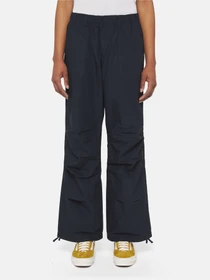 Штани Dickies Fishersville модель DK0A4YV4DNX1 Фото