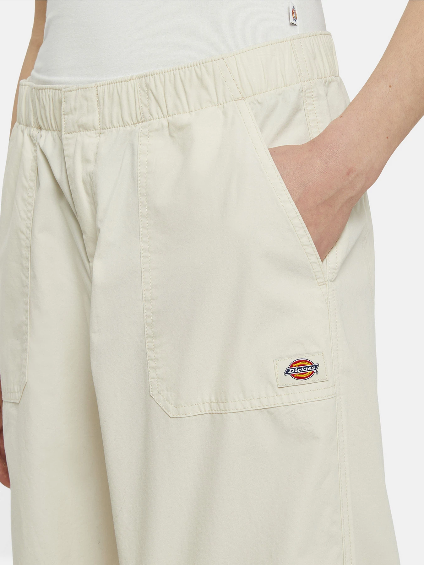 Брюки Dickies Fishersville модель DK0A4YV4F901 Фото