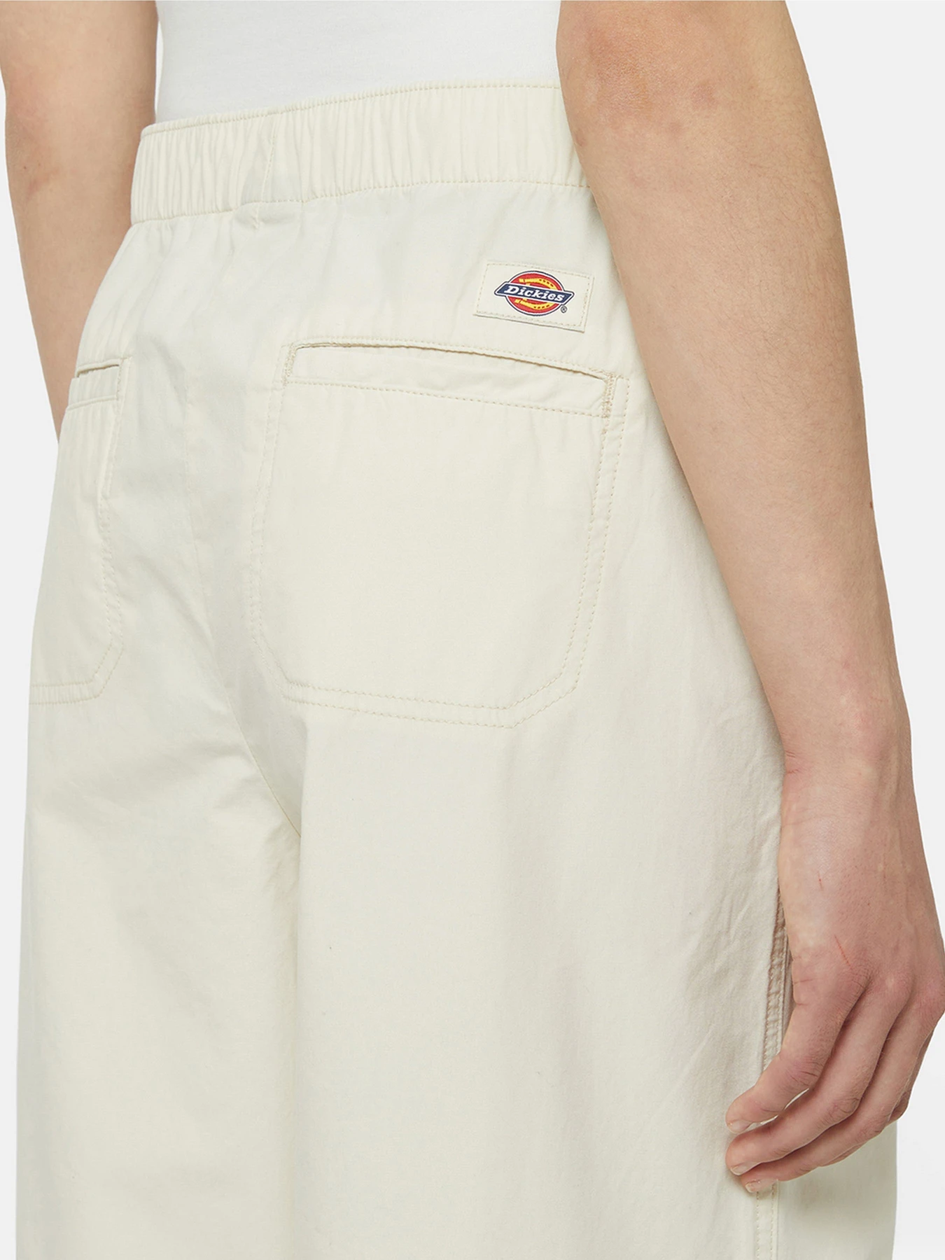 Брюки Dickies Fishersville модель DK0A4YV4F901 Фото