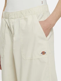 Брюки Dickies Fishersville модель DK0A4YV4F901 Фото