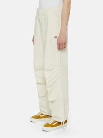 Брюки Dickies Fishersville модель DK0A4YV4F901 Фото