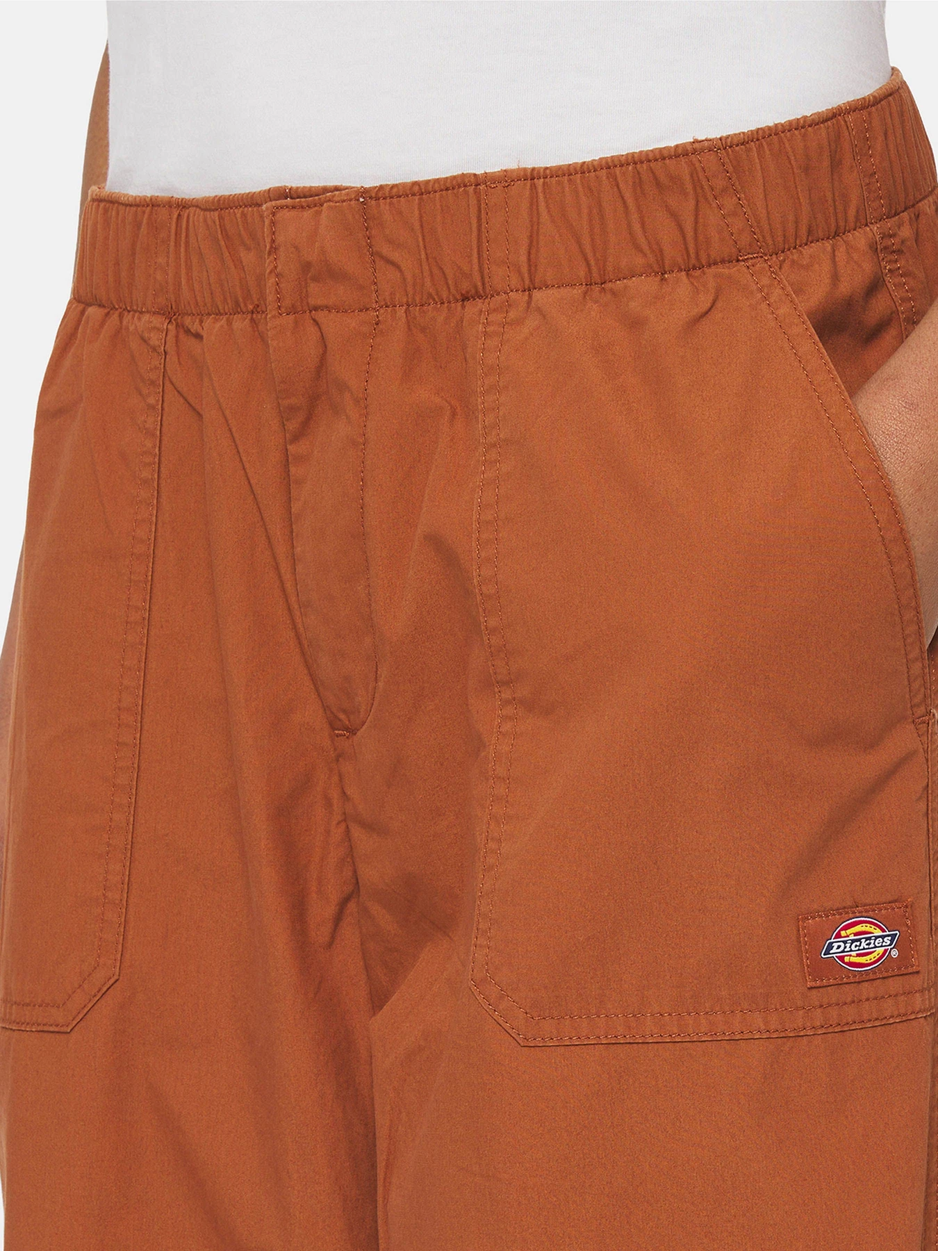 Штани Dickies Fishersville модель DK0A4YV4H161 Штани Dickies Fishersville модель DK0A4YV4H161 Фото