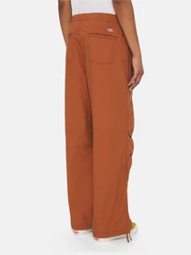 Штани Dickies Fishersville модель DK0A4YV4H161 Фото