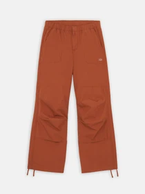 Штани Dickies Fishersville модель DK0A4YV4H161 Фото