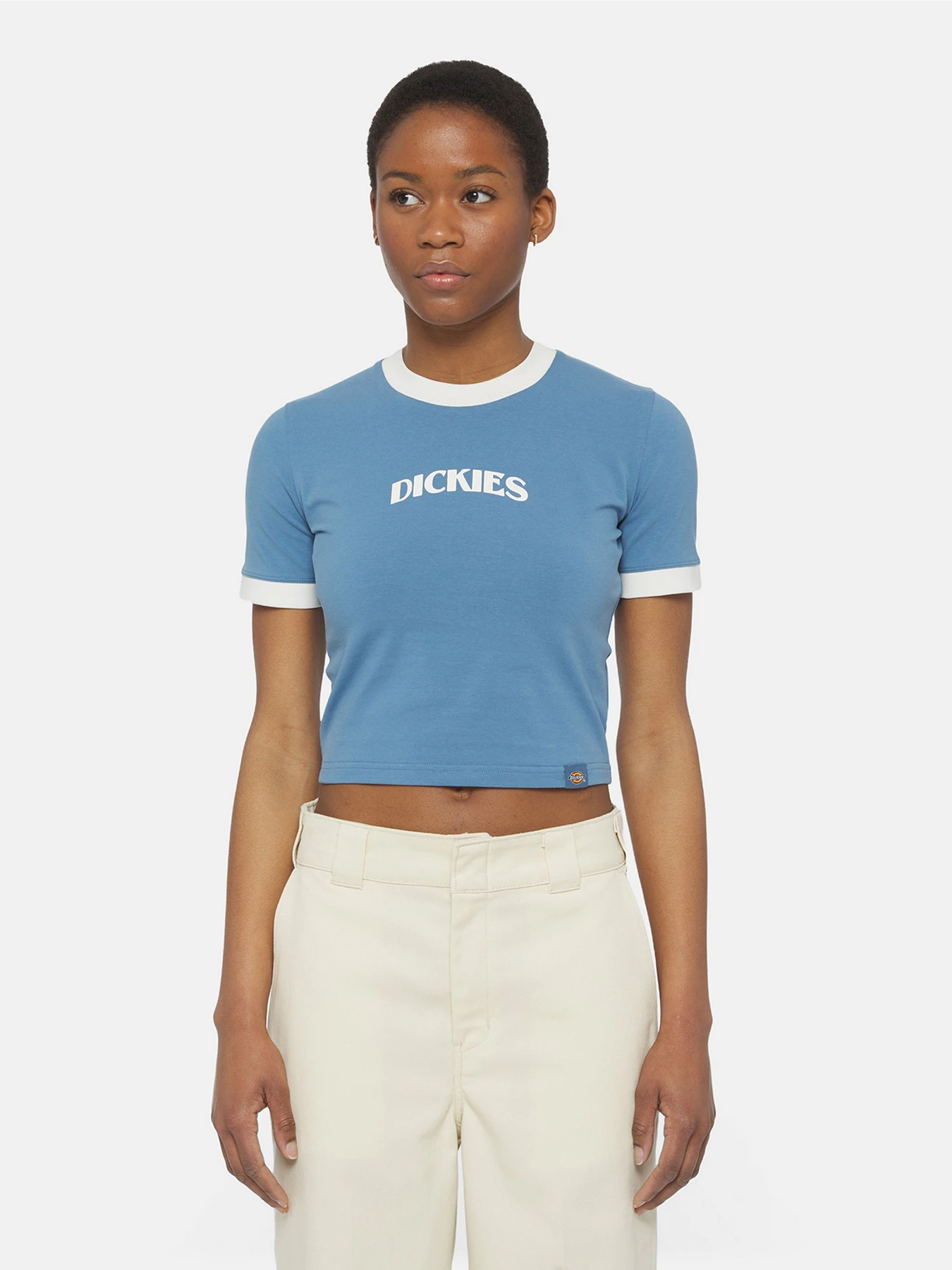 Футболки и поло Dickies Herndon Ringer Ss модель DK0A4YY8H171 Фото