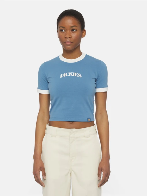 Футболки і поло Dickies Herndon Ringer Ss модель DK0A4YY8H171 Фото