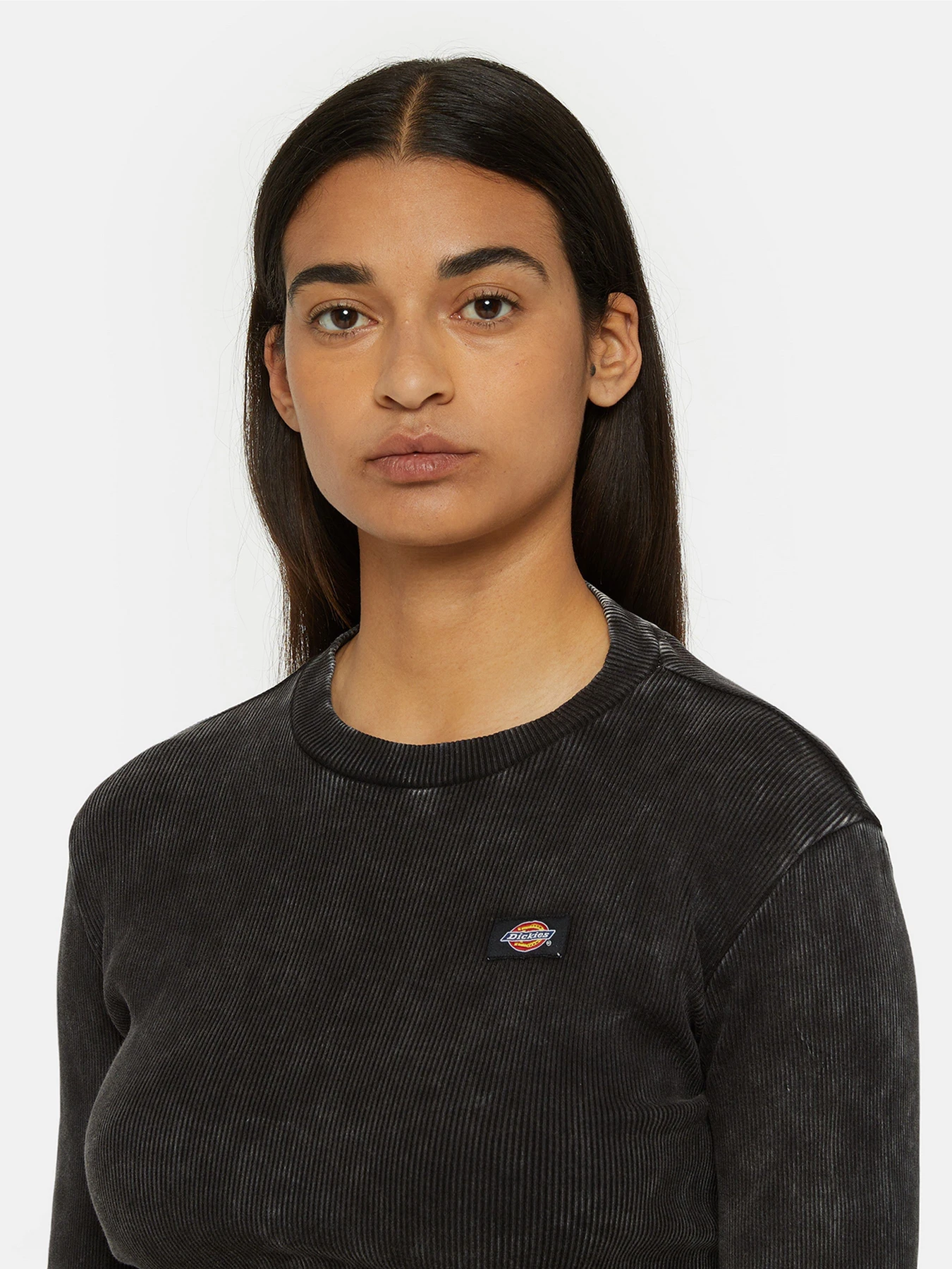 Худи и свитшоты Dickies Neington Ls модель DK0A4YYQH861 Фото